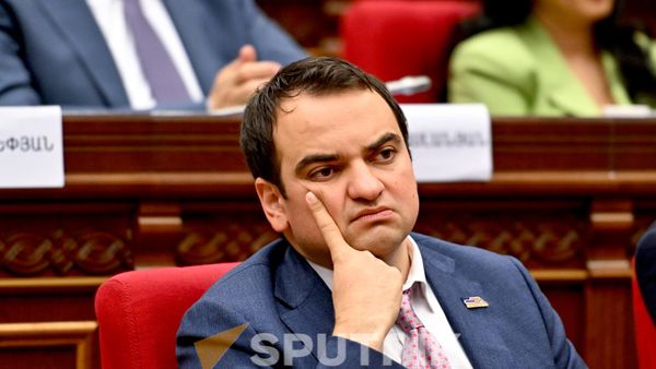 Նարեկ Կարապետյան - Sputnik Արմենիա