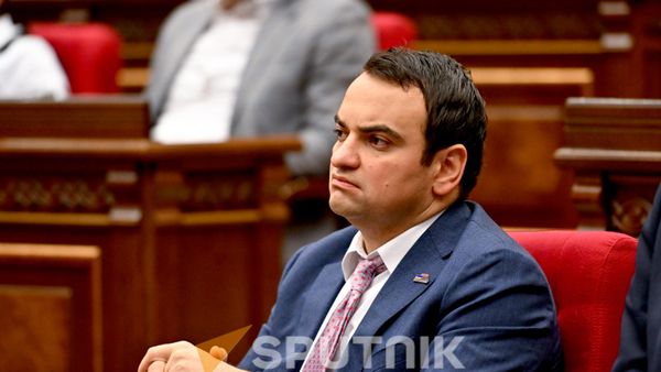 Нарек Карапетян на заседании НС (24 августа 2026). Ереван - Sputnik Армения