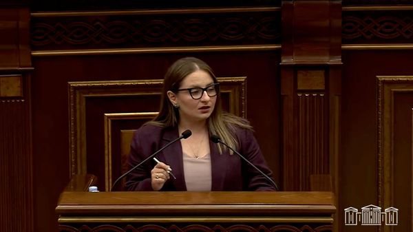 Ուզում եք որևէ ոտնձգություն չլինի՞ ձեր ունեցվածքի նկատմամբ, համագործակցե՛ք ՔՊ-ի հետ․ Քրիստինե Վարդանյան - Sputnik Արմենիա