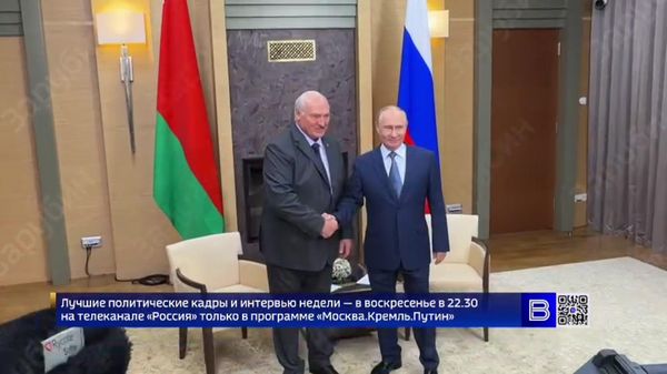 Начались переговоры Путина и Лукашенко - Sputnik Армения