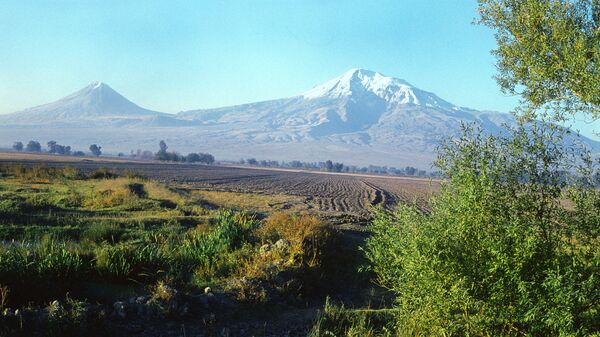 Араратская долина в Армении - Sputnik Արմենիա