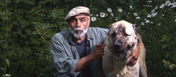 Гампр был отражён в наскальной живописи несколько тысяч лет назад - Sputnik Армения