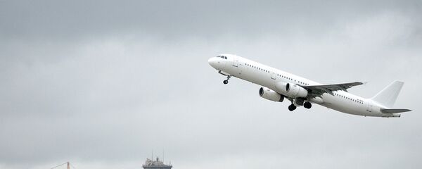 Самолет в аэропорту Шереметьево. - Sputnik Армения