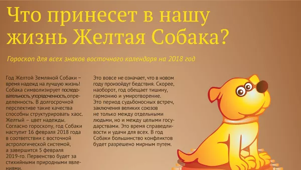 Что принесет в нашу жизнь желтая собака - Sputnik Армения