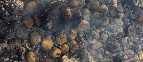 Картошка в печи. Фестиваль Угощают кяварцы Картошка в печи. Фестиваль Угощают кяварцы - Sputnik Արմենիա