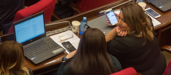 Заседание НС Армении Заседание НС Армении - Sputnik Արմենիա