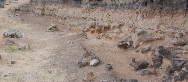 Раскопки в Нор Геги Раскопки в Нор Геги - Sputnik Արմենիա