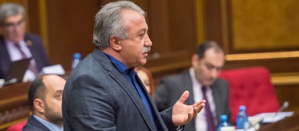 Заседание парламента посвященное взлету цен Заседание парламента посвященное взлету цен - Sputnik Արմենիա