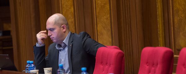 Заседание парламента посвященное взлету цен - Sputnik Армения