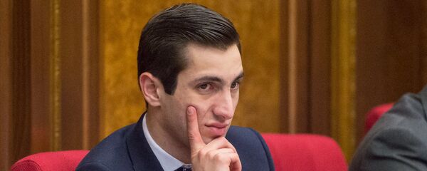 Заседание парламента посвященное взлету цен Заседание парламента посвященное взлету цен - Sputnik Армения