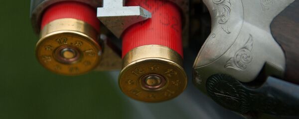 Охотничье ружье - Sputnik Армения