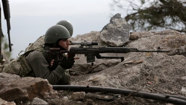 Боевые действия турецкой армии на севере Сирии близ г. Африн - Sputnik Армения