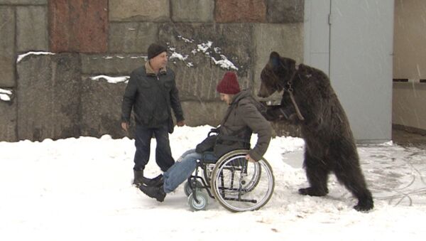 Цирковой медведь Яша помог забрать из больницы дрессировщика - Sputnik Արմենիա