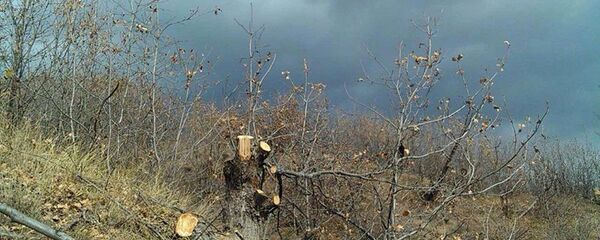 Национальный парк Аревик - Sputnik Армения