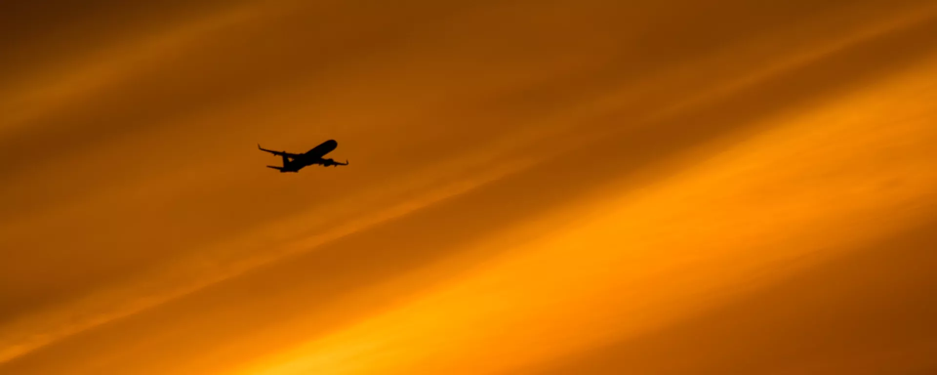 Летящий самолет Airbus A-321 - Sputnik Армения, 1920, 04.07.2021