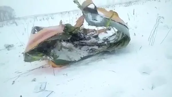 Видео с места падения пассажирского самолета Ан-148 в Подмосковье