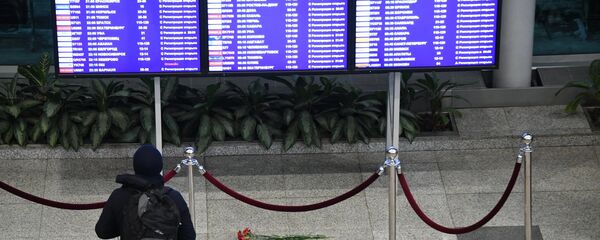 Ситуация в аэропорту Домодедово после крушения самолета Ан-148 - Sputnik Армения