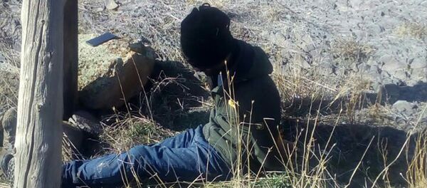 Нарушитель армяно-турецкой границы Нарушитель армяно-турецкой границы - Sputnik Արմենիա