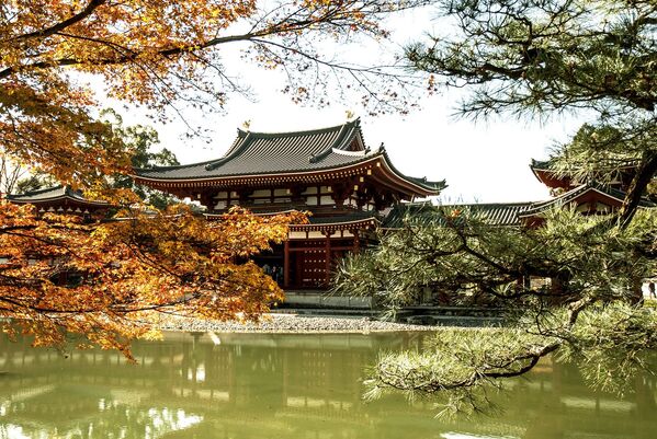Буддийский храм в японском городе Киото. Киото - это древняя столица Японии. На территории города и в его окрестностях есть множество прекрасных храмов. Самым красивым из них считается Кинкаку-дзи - Золотой павильон. - Sputnik Армения