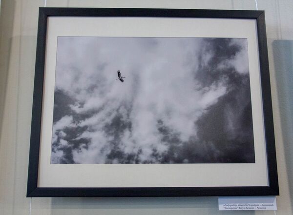 Ցուցահանդեսի մասնակից լուսանկարերից մեկը` «Ճախրանք», հեղինակ` Թ. Ասլանյան - Sputnik Արմենիա