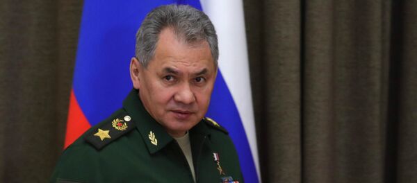 Сергей Шойгу  - Sputnik Армения
