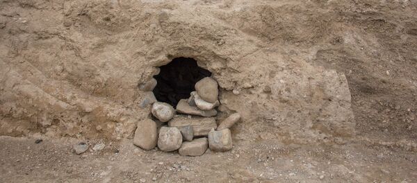 Раскопки на территории школы в Ехегнадзоре - Sputnik Արմենիա