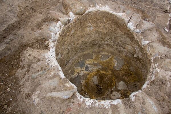 Армянское вино подвинуло грузинское? Что виноделы обсуждали с Пашиняном Армянское вино подвинуло грузинское? Что виноделы обсуждали с Пашиняном - Sputnik Армения