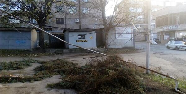 В Ванадзоре ветер сломал деревья - Sputnik Армения