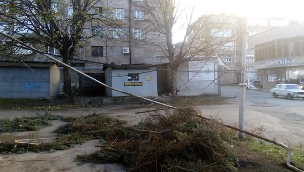 В Ванадзоре ветер сломал деревья - Sputnik Армения