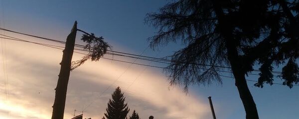 В Ванадзоре ветер сломал деревья. Архивное фото. В Ванадзоре ветер сломал деревья. Архивное фото. - Sputnik Армения