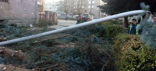 В Ванадзоре ветер сломал деревья В Ванадзоре ветер сломал деревья - Sputnik Արմենիա