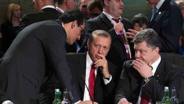 Президенты Украины и Турции Петр Порошенко и Реджеп Эрдоган - Sputnik Արմենիա