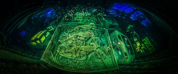 2018 Underwater Photographer of the Year ստորջրյա լուսանկարների մրցույթի հաղթող, գերմանացի լուսանկարիչ Տոբիաս Ֆրիդրիխի «CYCLE-WAR» լուսանկարը։ - Sputnik Արմենիա