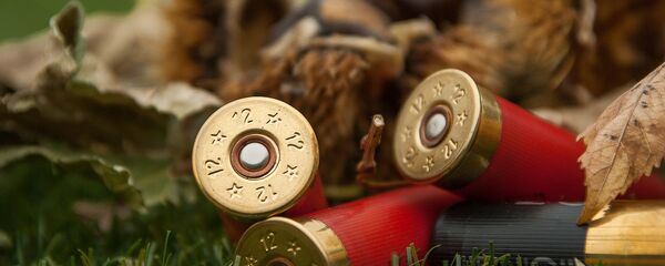 Патроны - Sputnik Армения