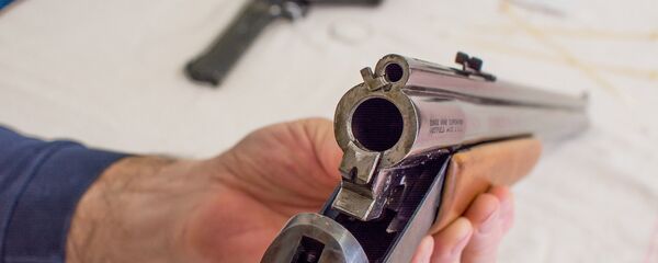 Охотничье ружье - Sputnik Արմենիա