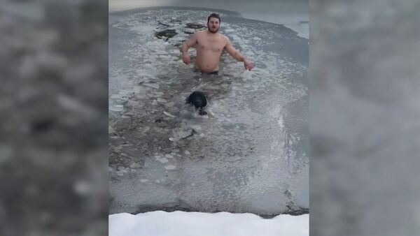 Канадец спас провалившуюся под лед собаку - Sputnik Армения