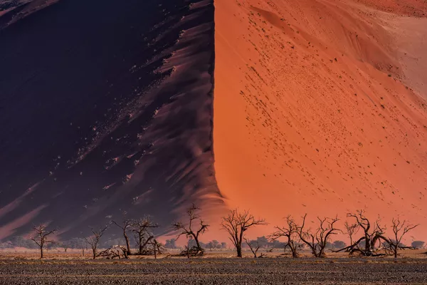 Снимок The Great wall of Namib тайского фотографа Paranyu Pithayarungsarit из категории Landscape & Nature (Open), вошедший в шортлист фотоконкурса 2018 Sony World Photography Awards Снимок The Great wall of Namib тайского фотографа Paranyu Pithayarungsarit из категории Landscape & Nature (Open), вошедший в шортлист фотоконкурса 2018 Sony World Photography Awards - Sputnik Армения