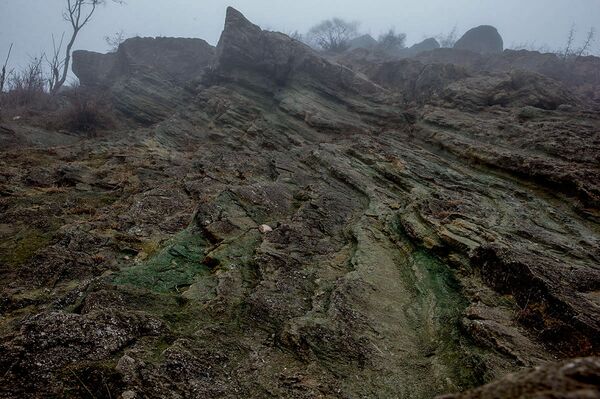Морские окаменелости Астхашена Морские окаменелости Астхашена - Sputnik Արմենիա