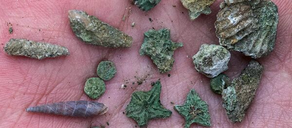 Морские окаменелости Астхашена - Sputnik Армения