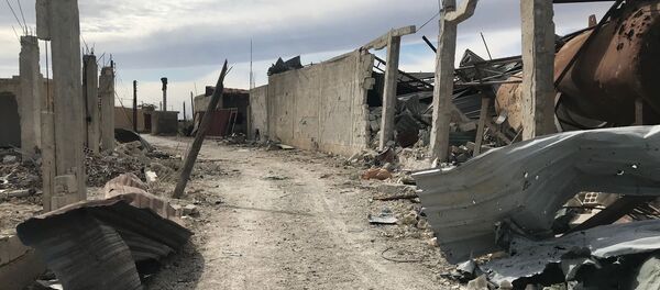 Освобожденное от террористов поселение Шифония в Восточной Гуте - Sputnik Армения