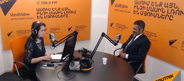 «Իրավունքը ուժ է» Հայ սպառողների իրավունքը խախտում են պետական  մարմինները - Sputnik Արմենիա