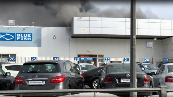 Пожар в автосалоне в Санкт-Петербурге - Sputnik Армения