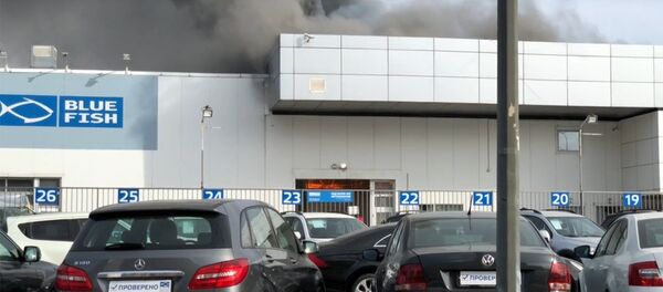 Пожар в автосалоне в Санкт-Петербурге - Sputnik Армения