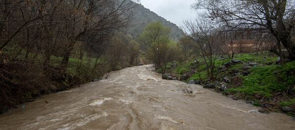 Сельская жизнь весной - Sputnik Армения