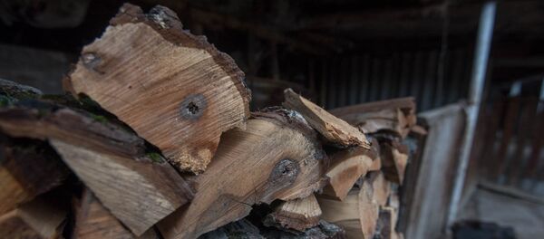 Сельская жизнь весной - Sputnik Армения