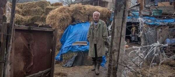 Сельская жизнь весной - Sputnik Армения