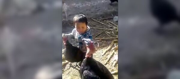 Миру мир - Sputnik Армения