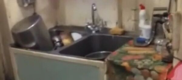 Видео с задержанного властями Украины судна Норд - Sputnik Армения