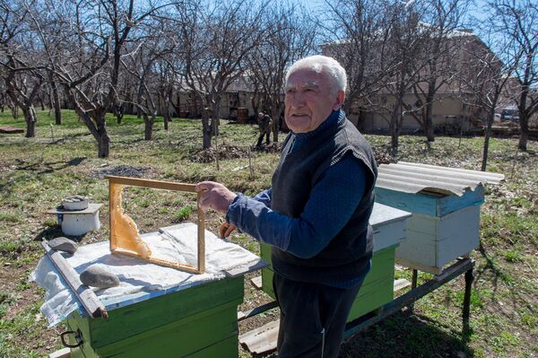 Пасечник в селе Гагарин, Гегаркуник - Sputnik Армения