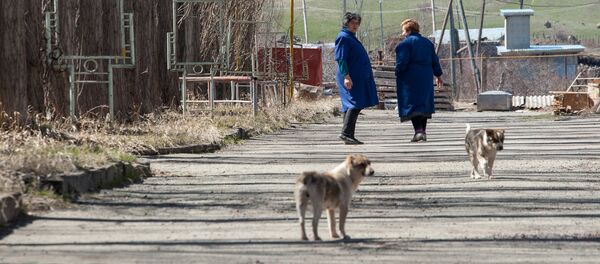 Весна в селе Гагарин, Гегаркуник - Sputnik Արմենիա